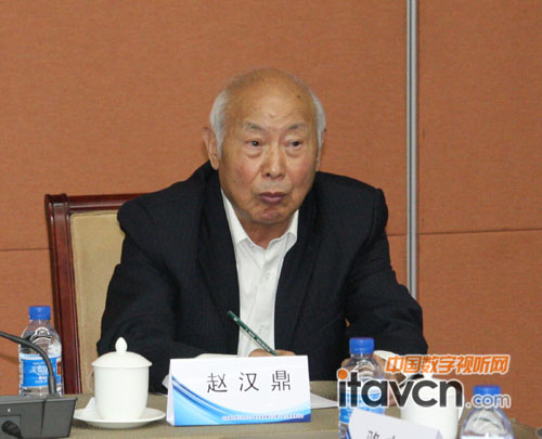 中國電子視像行業協會大屏幕投影顯示設備分會秘書長趙漢鼎