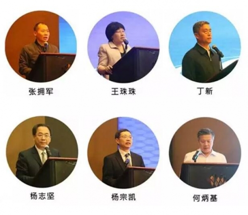 中國教育技術協會會長楊志堅：搭建平臺——助力中國教育信息化融合發展