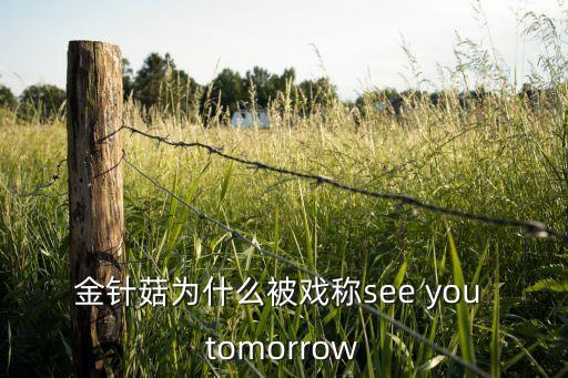 빽ΪʲôϷsee you tomorrow