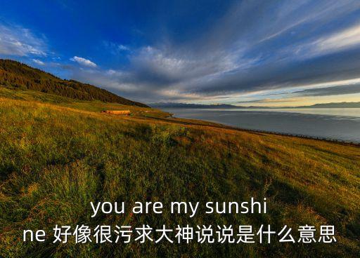 you are my sunshine ˵˵ʲô˼